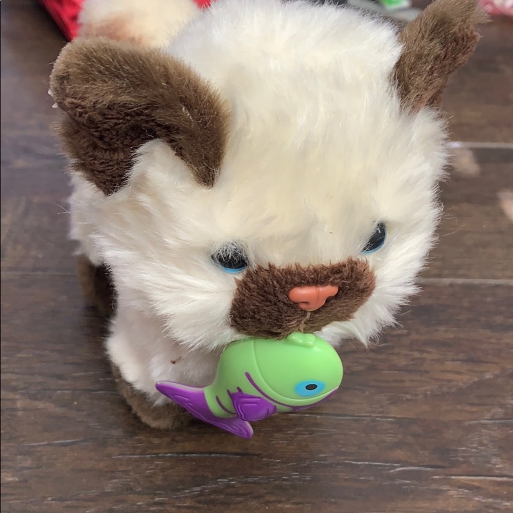 american girl cat with magnetic fish